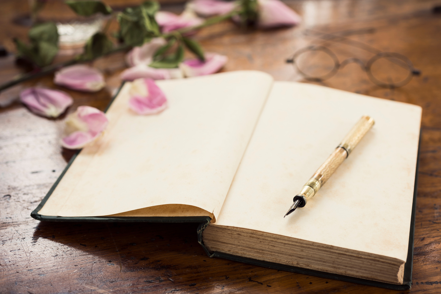 Antique Journal and Gold Fountain Pen